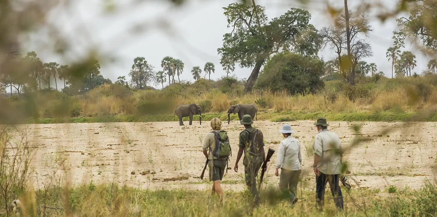 Southern Safari Tanzania: Explore pristine wilderness, diverse wildlife, and stunning landscapes in this unforgettable adventure.