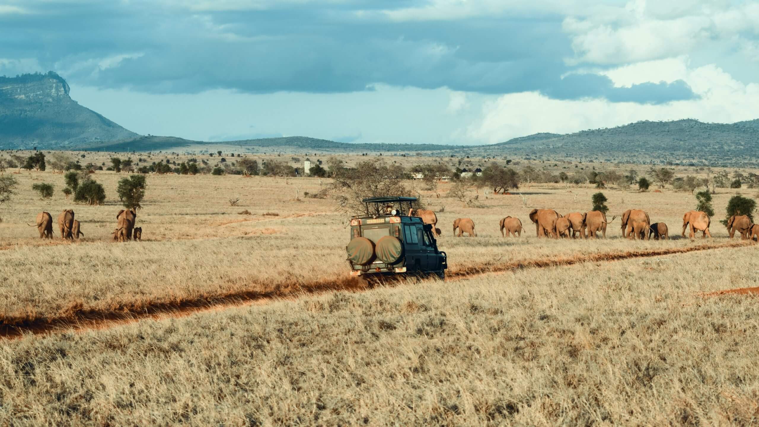 Tanzania Safari and beach