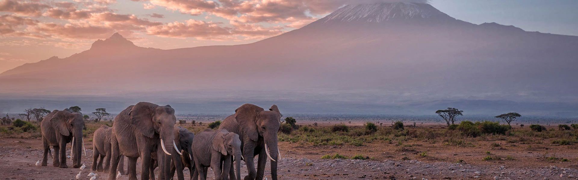 Kilimanjaro National Park is home to Africa's highest peak. Explore diverse ecosystems, spot unique wildlife, and embark on unforgettable treks.